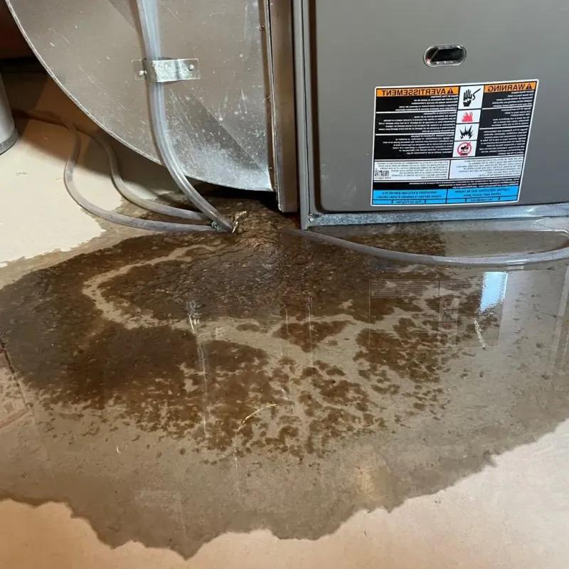 Pipe Burst and Leak Restoration in Polk County, AR