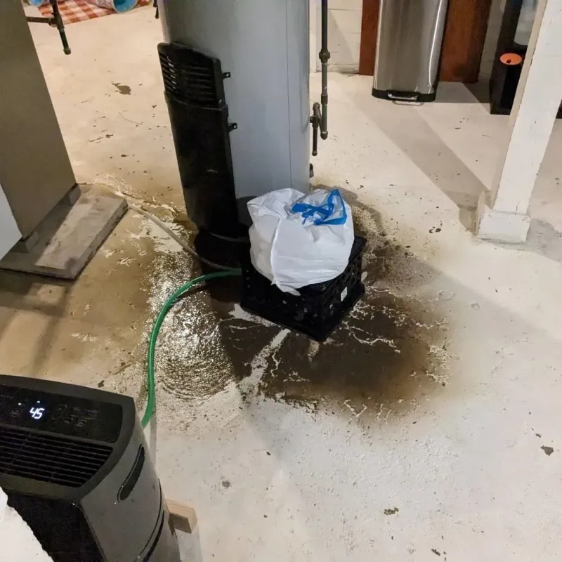Sewage Backup Cleanup Service in Polk County, AR